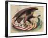 The Eagle's Nest, 1861-Science Source-Framed Giclee Print