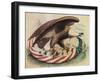 The Eagle's Nest, 1861-Science Source-Framed Giclee Print