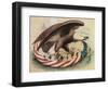 The Eagle's Nest, 1861-Science Source-Framed Giclee Print