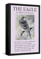 The Eagle-null-Framed Stretched Canvas