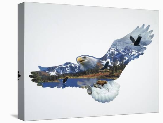 The Eagle-John Van Straalen-Stretched Canvas