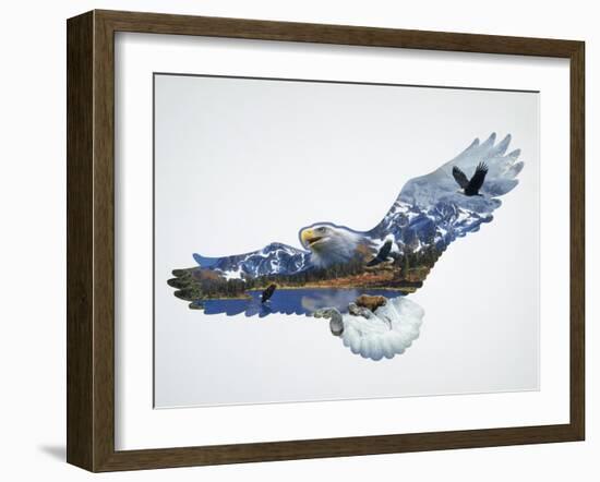 The Eagle-John Van Straalen-Framed Giclee Print