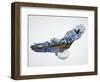 The Eagle-John Van Straalen-Framed Giclee Print