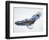 The Eagle-John Van Straalen-Framed Giclee Print