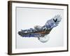 The Eagle-John Van Straalen-Framed Giclee Print