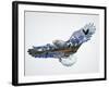 The Eagle-John Van Straalen-Framed Giclee Print