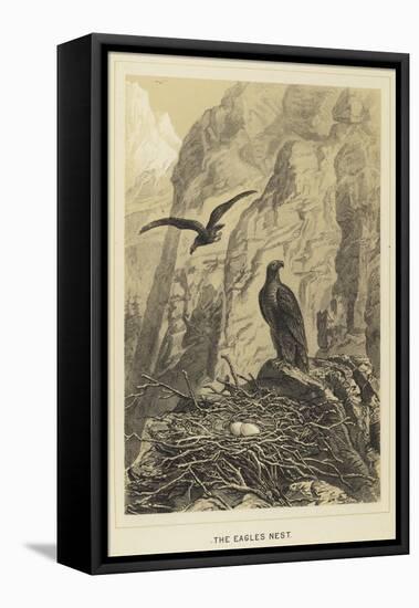 The Eagles Nest-null-Framed Stretched Canvas