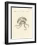 The Eared Jellyfish-null-Framed Giclee Print