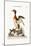 The Eared or Horned Dobchick, 1749-73-George Edwards-Mounted Giclee Print