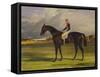 The Earl of Chesterfield's Filly 'Industry', with W. Scott Up, in a Landscape-John Frederick Herring I-Framed Stretched Canvas