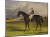 The Earl of Chesterfield's Filly 'Industry', with W. Scott Up, in a Landscape-John Frederick Herring I-Mounted Giclee Print