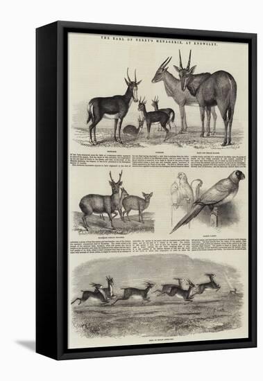 The Earl of Derby's Menagerie, at Knowsley-John Wykeham Archer-Framed Stretched Canvas