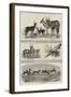 The Earl of Derby's Menagerie, at Knowsley-John Wykeham Archer-Framed Giclee Print