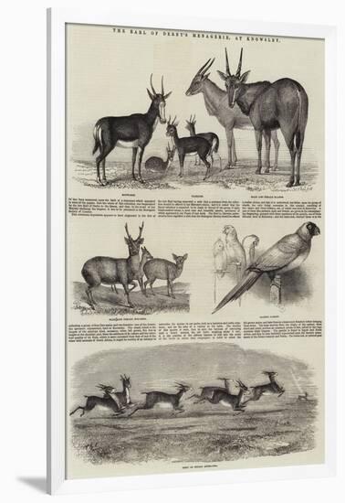 The Earl of Derby's Menagerie, at Knowsley-John Wykeham Archer-Framed Giclee Print