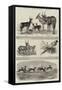 The Earl of Derby's Menagerie, at Knowsley-John Wykeham Archer-Framed Stretched Canvas