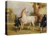 The Earl of Godolphin's 'Roxana' Held by Her Jockey, 1845-Francis Calcraft Turner-Stretched Canvas