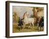 The Earl of Godolphin's 'Roxana' Held by Her Jockey, 1845-Francis Calcraft Turner-Framed Giclee Print