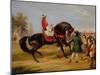 The Earl of Godolphin's 'scham' with an Arab Up, 1845-Francis Calcraft Turner-Mounted Giclee Print