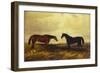 The Earl of Granards's Bright Bay Filly and Dark Bay Stallion Standing in an Extensive Landscape-William Luker-Framed Giclee Print