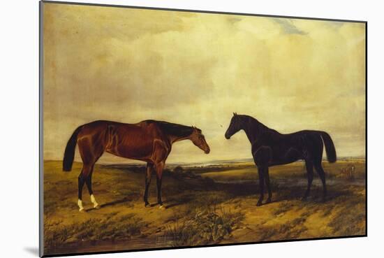 The Earl of Granards's Bright Bay Filly and Dark Bay Stallion Standing in an Extensive Landscape-William Luker-Mounted Giclee Print