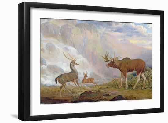 The Earl of Orford's Elk from Norway. Antelope from Africa and Stag from Prince's Island-George Garrard-Framed Giclee Print