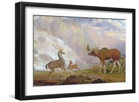 The Earl of Orford's Elk from Norway. Antelope from Africa and Stag from Prince's Island-George Garrard-Framed Giclee Print