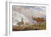 The Earl of Orford's Elk from Norway. Antelope from Africa and Stag from Prince's Island-George Garrard-Framed Giclee Print