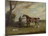 The Earl of Shrewsbury's Groom Holding a Hunter, C.1800-Henry Bernard Chalon-Mounted Giclee Print