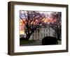 The Early Morning Sunrise Warms up the Winter Sky Behind the White House January 10, 2002-Ron Edmonds-Framed Photographic Print