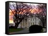 The Early Morning Sunrise Warms up the Winter Sky Behind the White House-null-Framed Stretched Canvas