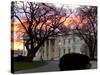 The Early Morning Sunrise Warms up the Winter Sky Behind the White House-null-Stretched Canvas