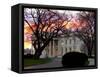 The Early Morning Sunrise Warms up the Winter Sky Behind the White House-null-Framed Stretched Canvas