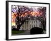 The Early Morning Sunrise Warms up the Winter Sky Behind the White House-null-Framed Photographic Print