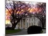 The Early Morning Sunrise Warms up the Winter Sky Behind the White House-null-Mounted Photographic Print