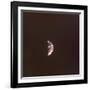 The Earth from Space, 1968-null-Framed Photographic Print