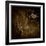 The Earth Has Music-Lydia Marano-Framed Photographic Print