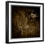 The Earth Has Music-Lydia Marano-Framed Photographic Print