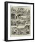 The Earthquake at Casamicciola, Island of Ischia-null-Framed Giclee Print