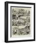 The Earthquake at Casamicciola, Island of Ischia-null-Framed Giclee Print