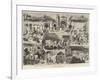 The Earthquake in Ischia, Bay of Naples-null-Framed Giclee Print