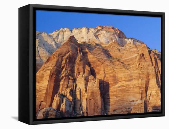 The East Temple, Zion National Park, Utah, USA-Ruth Tomlinson-Framed Stretched Canvas