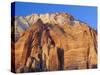 The East Temple, Zion National Park, Utah, USA-Ruth Tomlinson-Stretched Canvas
