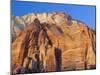 The East Temple, Zion National Park, Utah, USA-Ruth Tomlinson-Mounted Photographic Print