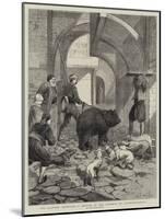The Eastern Question, a Sketch in the Streets of Constantinople-Samuel Edmund Waller-Mounted Giclee Print