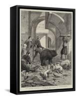 The Eastern Question, a Sketch in the Streets of Constantinople-Samuel Edmund Waller-Framed Stretched Canvas