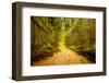 The Easy Path-Janet Slater-Framed Photographic Print