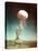 The Easy Shot Exploded a 31 Kiloton Nuclear Bomb-null-Stretched Canvas