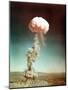 The Easy Shot Exploded a 31 Kiloton Nuclear Bomb-null-Mounted Photo