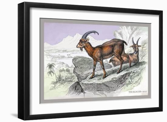 The Ecagus-John Stewart-Framed Art Print