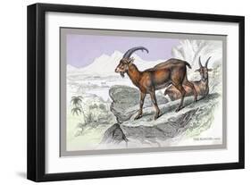 The Ecagus-John Stewart-Framed Art Print